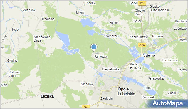 mapa Jankowa, Jankowa gmina Opole Lubelskie na mapie Targeo